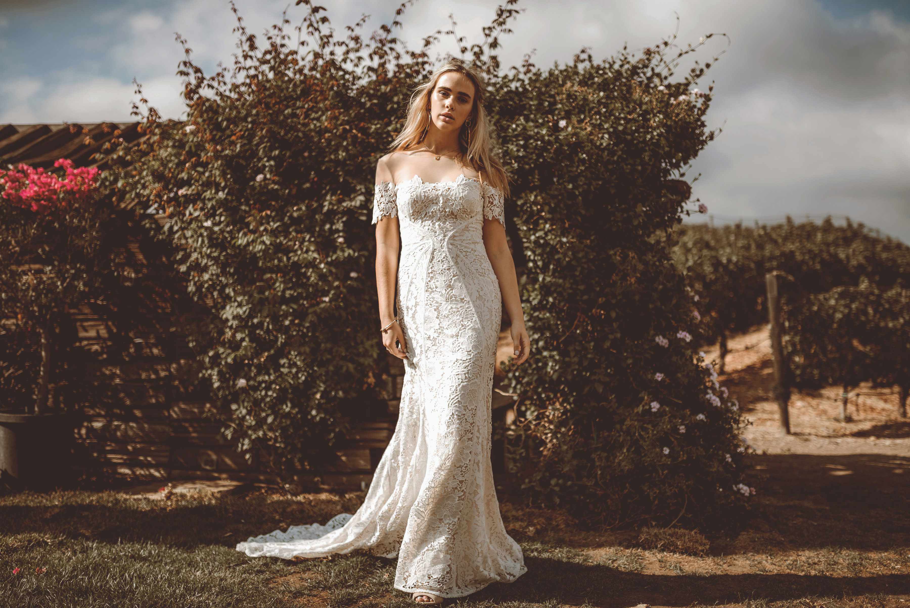 elie tahari evening gowns