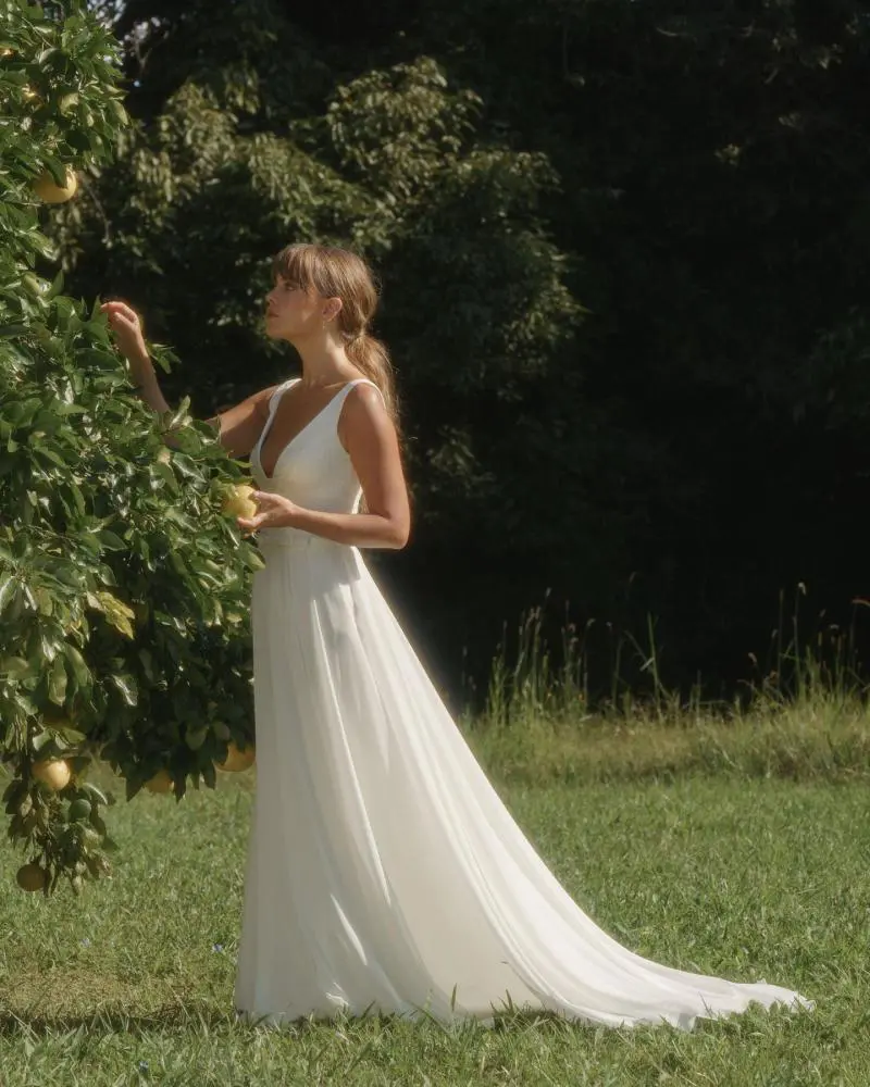 Karen Willis Holmes - Dixie