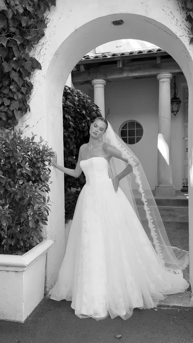 ESME has entered the chat.
Esme is a dream woven in soft pleated tulle and magnolia lace. ❤️

 Plan your visit at www.paperswanbride.co.nz

——
#paperswanbride #wellingtonweddings #nzweddings #christchurchweddings #bridalreels #2025brides #bridaltrends